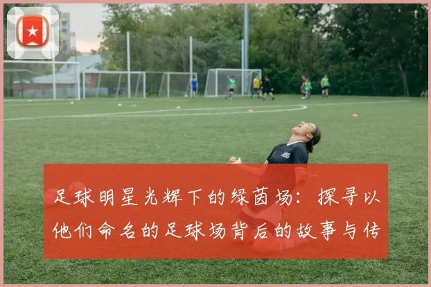 足球明星光辉下的绿茵场：探寻以他们命名的足球场背后的故事与传奇