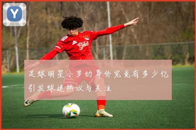 足球明星小罗的身价究竟有多少亿引发球迷热议与关注