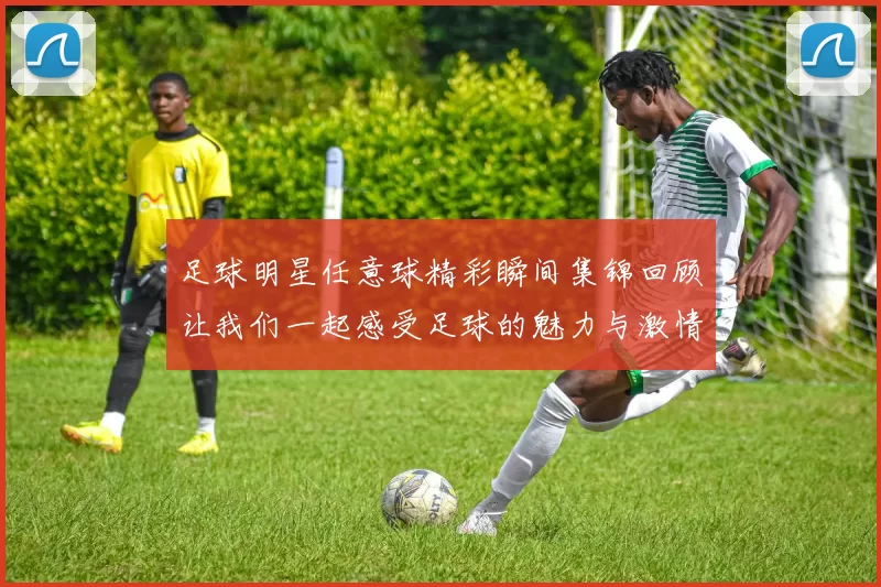 足球明星任意球精彩瞬间集锦回顾让我们一起感受足球的魅力与激情