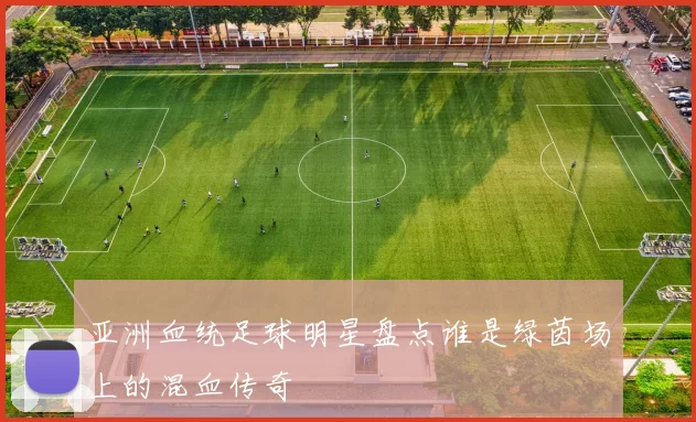 亚洲血统足球明星盘点谁是绿茵场上的混血传奇