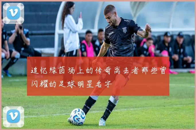 追忆绿茵场上的传奇离去者那些曾闪耀的足球明星名字