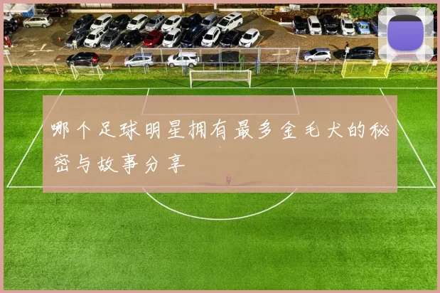 哪个足球明星拥有最多金毛犬的秘密与故事分享