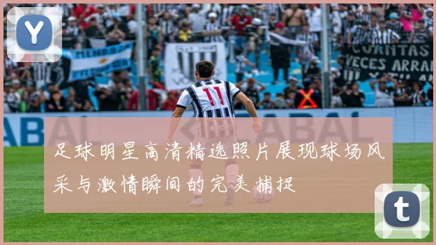 足球明星高清精选照片展现球场风采与激情瞬间的完美捕捉