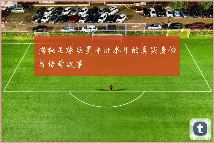 揭秘足球明星非洲水牛的真实身份与传奇故事